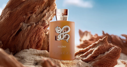 Canéza Sultan · Unisex 100 ml · Ámbar especiado · Pack de 24 piezas