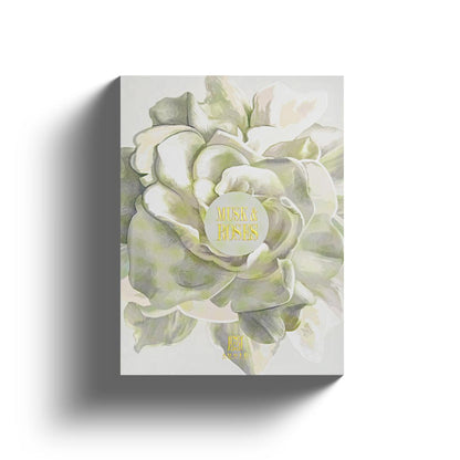 Ahmed Al Maghribi Musk & Roses · Mujer 100 ml · Rosa almizclada · Pack de 24 piezas